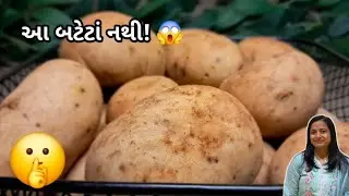 આ બટેટા લાગે પણ બટેટું નથી! 😱 સરપ્રાઇઝ ફરસાણ | નવું ફરસાણ | Farsan Recipe | Kirti's Home Cooking 