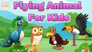 Learning the Names of Flying Animals 🦅 Flying Animals For Kids | MON Kids