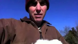 A Special Edition of Film@Eleven: My Feisty Little Girl Lamb - February 12, 2012