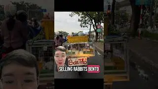 Selling rabbits as food or pets?? #vietnam #rabbit