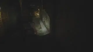 Resident Evil 3 Remake Challenge;без ящика,нож,дробовик,магнум. Сложность Ад
