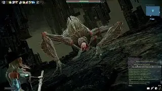 Vindictus Staff Evie Solo Abomination