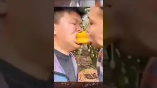 Just a normal cooking video with no men kissing or eating fruit whatsoever 😀👍