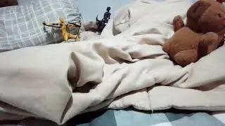 Capybara's core
