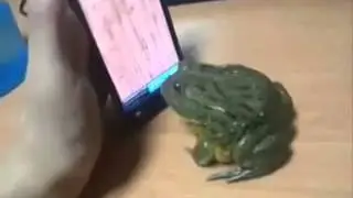 Funny Frog Playing a game in mobile