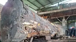 6000 millimeters full of challenges of this long sawing process 
