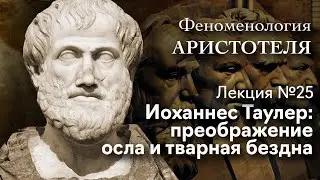 Феноменология Аристотеля. № 25. Иоханнес Таулер: преображение осла и тварная бездна