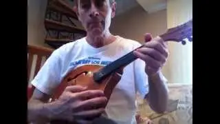 Bach on new Fretless Mandolin