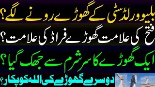 Blue world city kay ghory rony lagy
