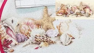Flosstube 255 Stitch With Me: Dimensions - Seashell Treasures 🐚