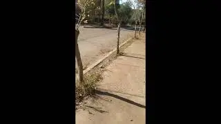 Serene Autumn Walking Tour ASMR Rain and Leaves walking asmr #WalkingTour #CityWalk