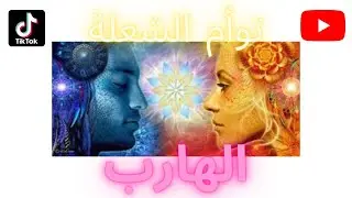 لايف من تيك توك Aminology369 لقاء حقيقي واعترافات توأم الشعلة الهارب