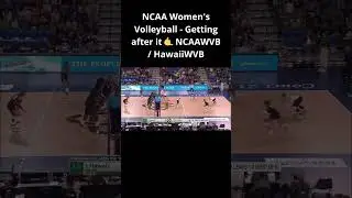 NCAA Women's Volleyball - Getting after it 🤙 NCAAWVB / HawaiiWVB