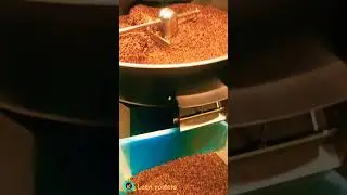 Leen coffee roster's ❤️&zwj;🔥❤️&zwj;🔥 Best quality & best choice 👌🏻