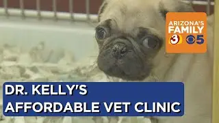 Affordable pet care in the Valley at Dr. Kelly's Surgical Unit