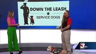 Down the Leash Service Dogs discuss how dogs help veterans