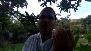 PARA QUEM VAI O SANGUE (EJE) PARTE #2