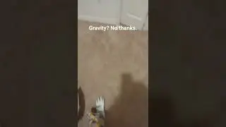 Gravity is a figment of your imagination.... wooooooo~