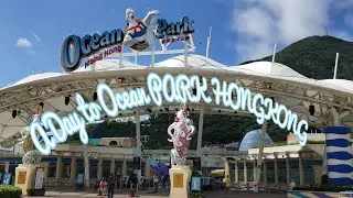 A Day to OCEAN PARK #hk #hkoceanpark #zoo #themepark #hongkong #saltwaterlife #oceanlife