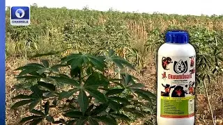 Benue Govt Introduces Animal Repellant To Boost Crop Yield