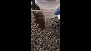Pouring some Stone Coat Countertops Epoxy resin onto some coffee beans from our coffee skateboar...