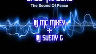 Bass Tracers Mega Mix