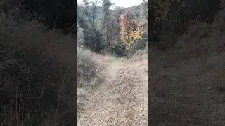 R&iacute;o Robledillo 3 noviembre 2025