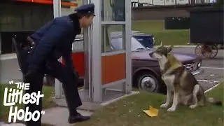 Here's Joey Jackson | The Littlest Hobo | Season 2 | Episode 17