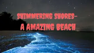 Shimmering Shores A Amazing Beach #shorts