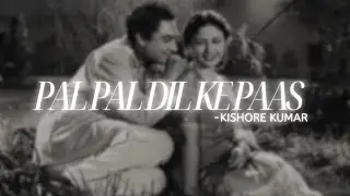 Pal Pal Dil Ke Paas | Lyrics |Text Edit | Kishore Kumar | Audio | Old Songs