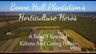 Boone Hall Plantation Horticulture Hero's
