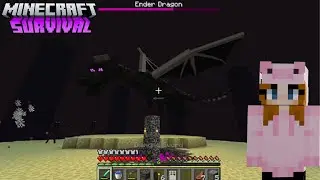 This Was My Last Chance to Beat Minecraft