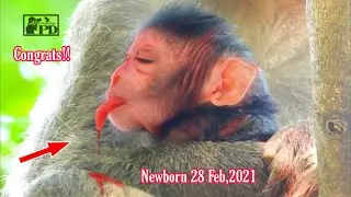 Congratulation!! Adorable Mummy Sally She is Giving Birth Newborn Successfully 28 Feb,2021