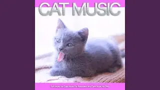 Background Music For Pets While You're Away