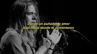 Ariel Pink - Not Enough Violence [sub espa&ntilde;ol]