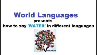 How to say WATER in different languages ft. the French language