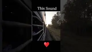 14206 Train tracks sound #railway #indianrailways #train #trainshorts #railwaystation #travel