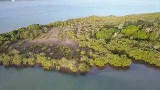 Settlement Point
