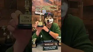 Funny gag trophy collection#trophies #gag gifts #funny #awards