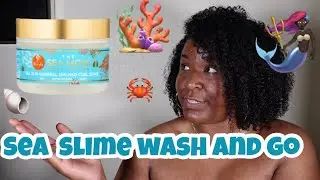 CURLS Sea slip Curl Slime | Wash and go | Sea Moss Collection |Briszell's way