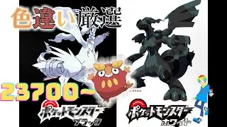【ポケモンBW】4番道路(Shiny Pok&eacute;mon)厳選(23700~)