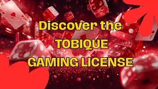 Tobique License: Your 6-Week Launch FAQ! B2B/B2C, Tax, & The New Geo-Blocking Rules