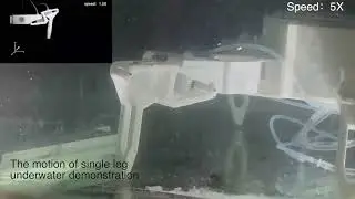 Underwater Crawling Robot With Hydraulic Soft Actuators