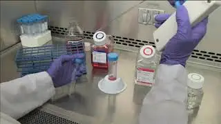 Passaging Cells