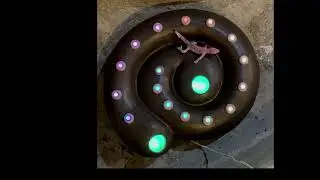 "Snail with Lizard," Lighted Ceramic Sculpture