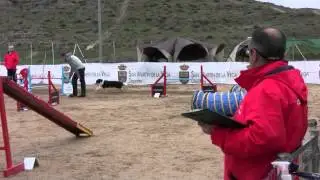 Agility Agilcan 10 Marzo 2013  09h20'17''