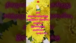 GOD'S WORD | BIBLE VERSE | SAMUVEL JOSHVA OFFICIAL | 21-10-23 |#godsword#bibleverse #bible#music#sj