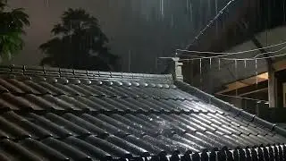 A Refreshing Sleep with Torrential Rain on a Rickety Tin Roof in the Rainforest