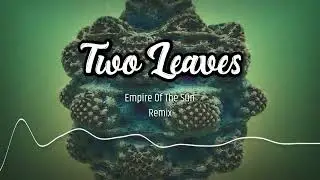 Empire Of The Sun - Two Leaves (Remix)