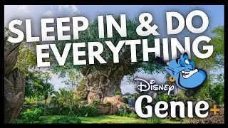 Can We Sleep in and STILL See EVERYTHING in Disney's Animal Kingdom? | Late Entry Genie+ Strategy